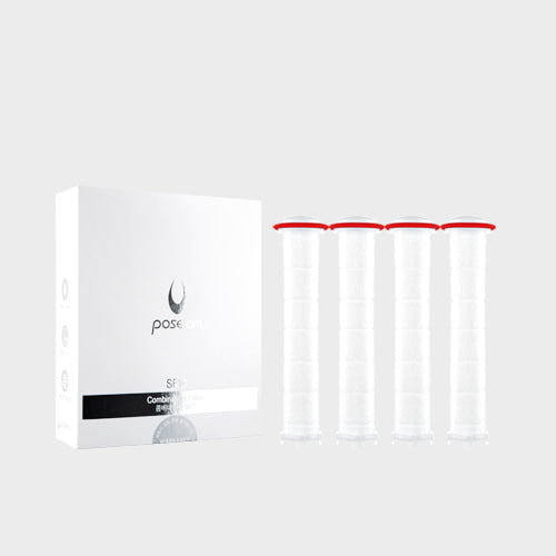 (특가세일) 포세이온 샤워헤드 - Poseion Shower Head BT100 (필터 4EA 무료증정)